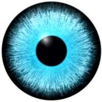 5 Eyes