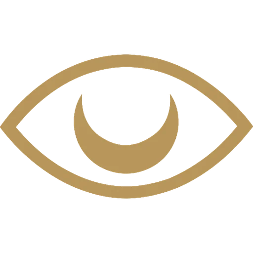 Argus X