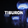 Tiburon