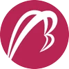 Betatron Venture Group