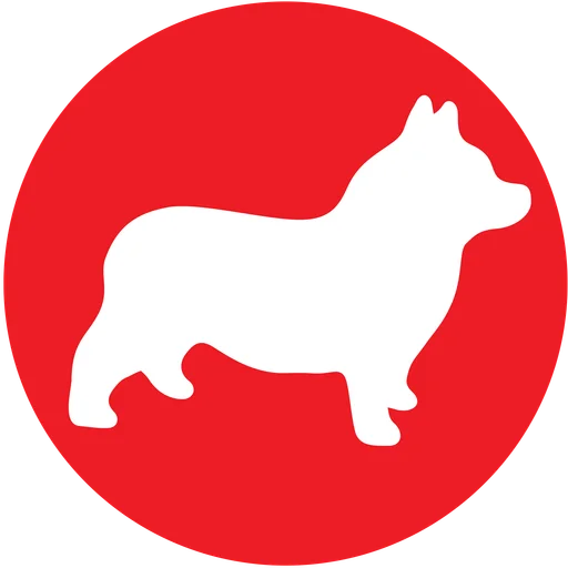 Corgi