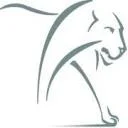 Lions Capital LLC
