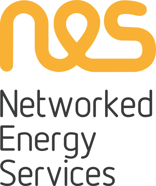 Networked Energy Services Corporation
