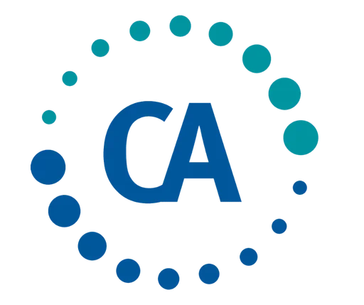 Cyber Advisors