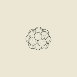 Cloudberry Ventures