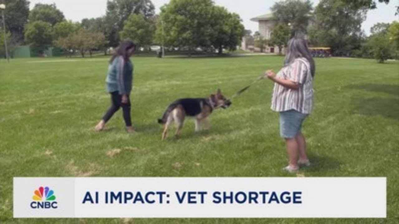 AI Mobilizes Vets, Revolutionizes Pet Care Amid Staffing Crisis