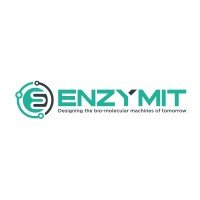 Enzymit