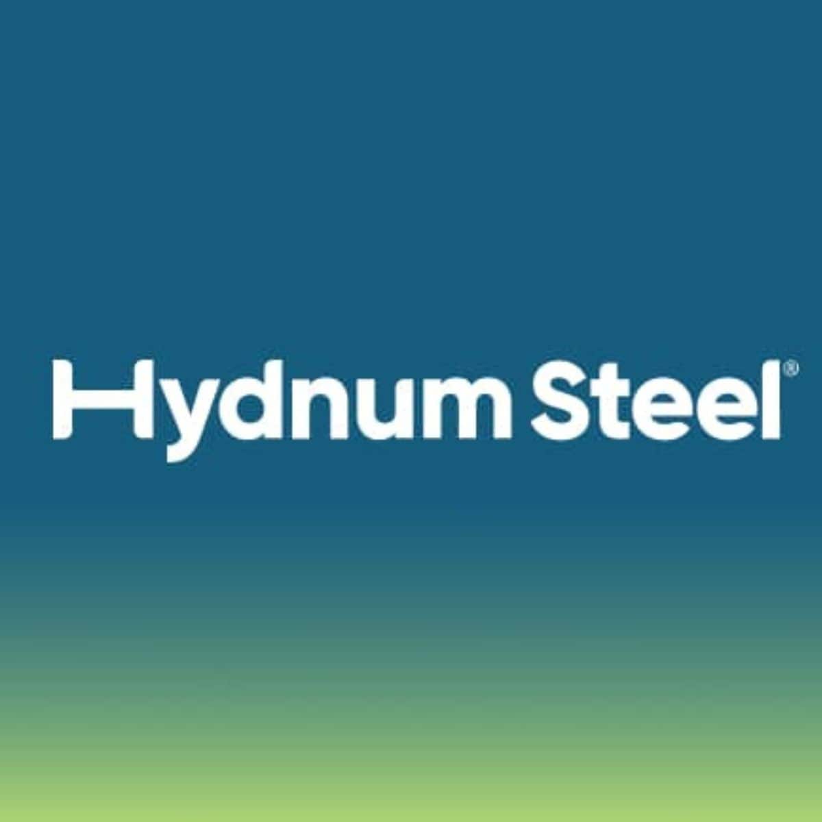 Hydnum Steel